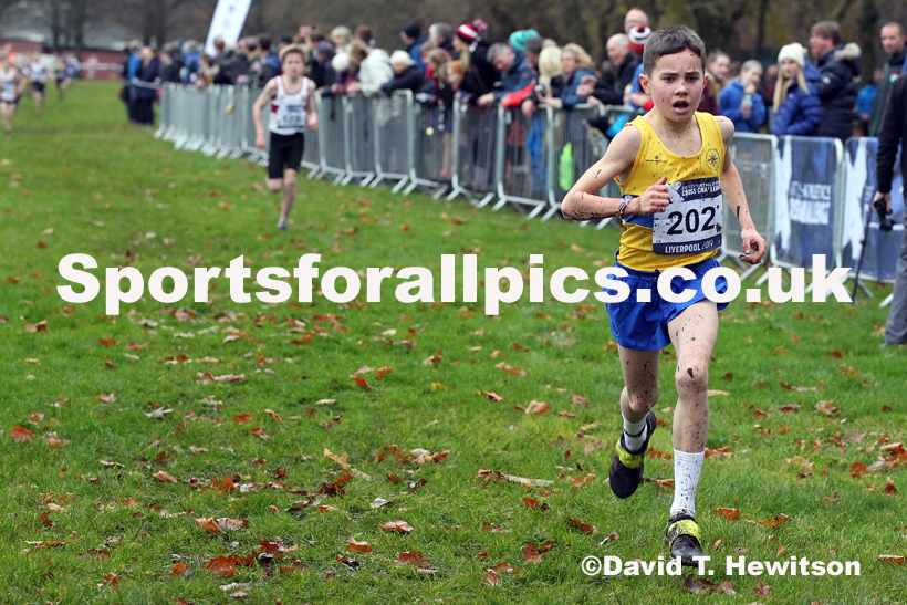Boys under-13s, 2019 European Cross Country Trials and British Cross Challenge, Sefton Park, Liverpool.  Photo: David T. Hewitson/Sports for All Pics